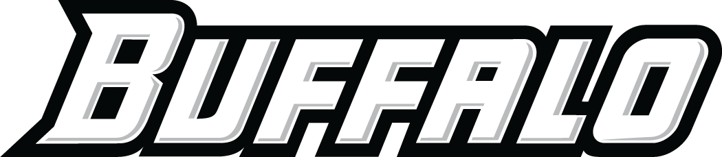 Buffalo Bulls 2007-Pres Wordmark Logo v2 diy fabric transfer